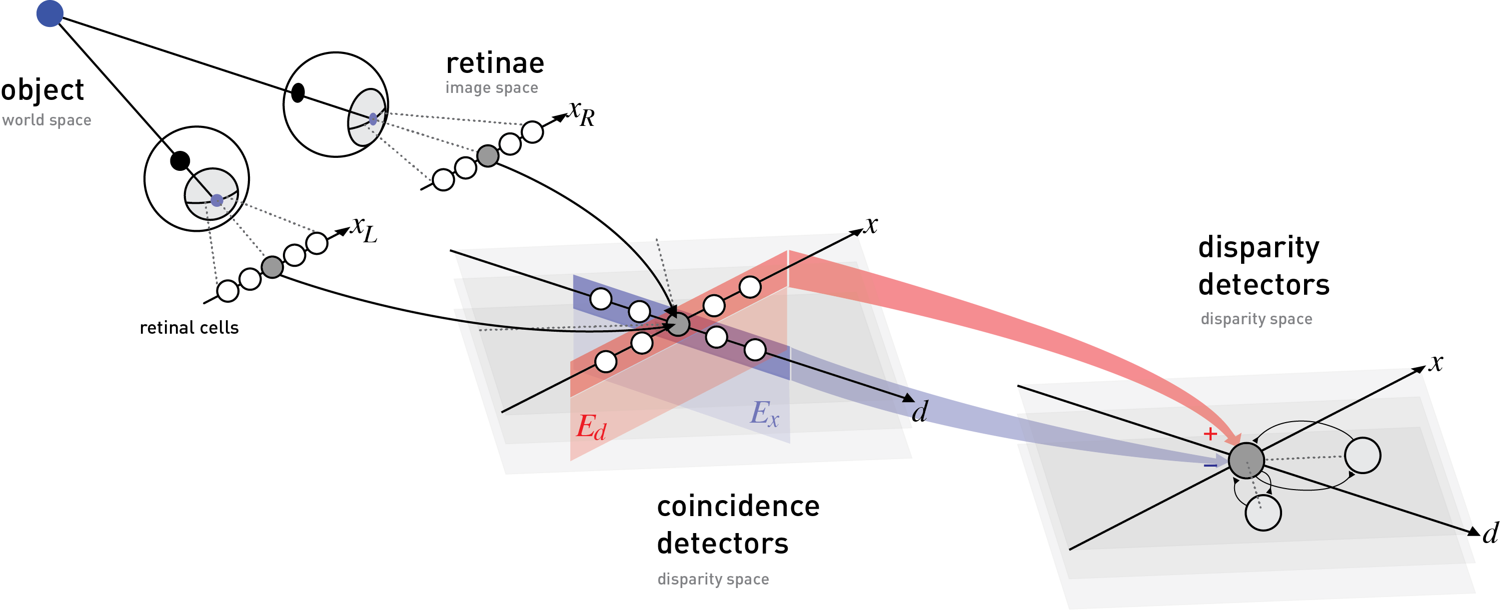 image displaying how our eyes interpret disparity