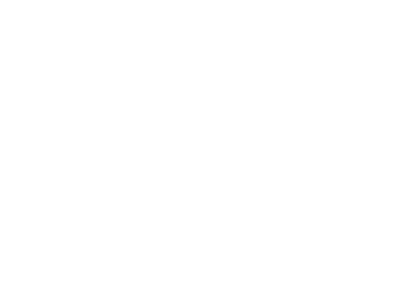 TSMC Logo